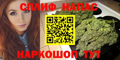 дурь Шелехов