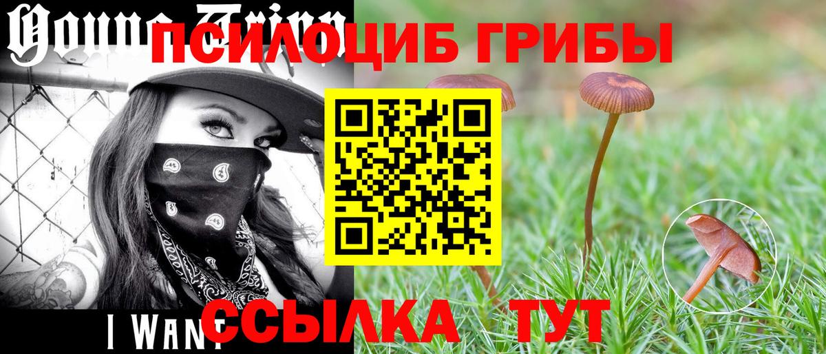Галлюциногенные грибы мухоморы Альметьевск